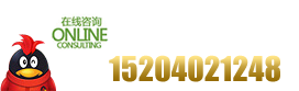 15204021248