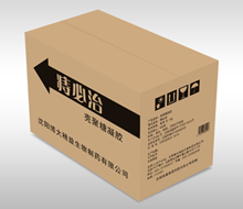 沈阳某医药科技有限公司